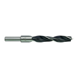 Milwaukee Kılavuz Uçlu Ahşap Matkap Ucu 15 x 151 mm 4932363663 - 2