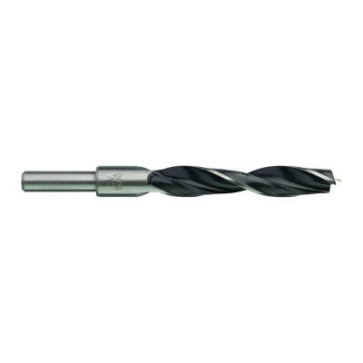 Milwaukee Kılavuz Uçlu Ahşap Matkap Ucu 15 x 151 mm 4932363663 - 2